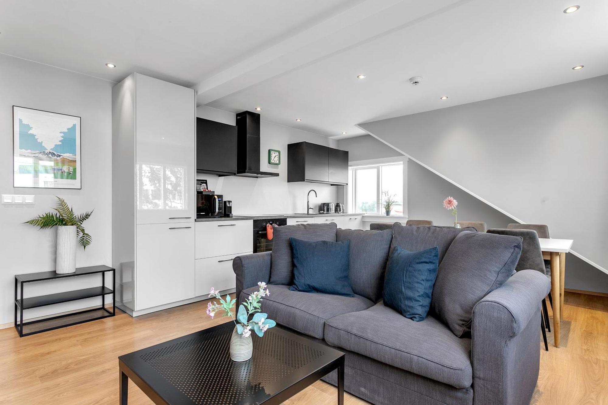 Eiriksgata Apartments By Heimaleiga Reykjavík Zewnętrze zdjęcie